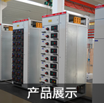 產(chǎn)品展示 勵(lì)磁柜產(chǎn)品展示